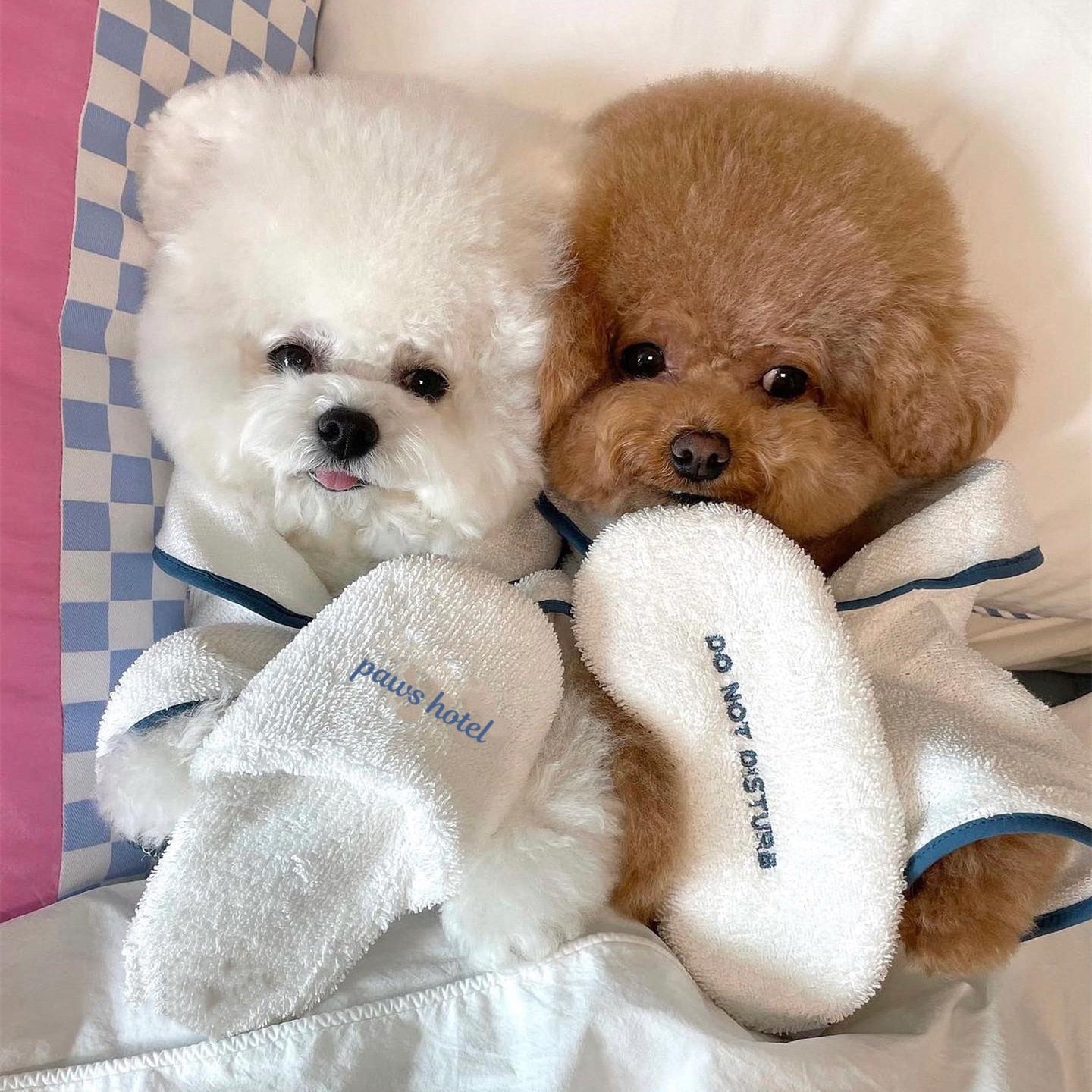 Paws Hotel Robe Set - Always Whiskered