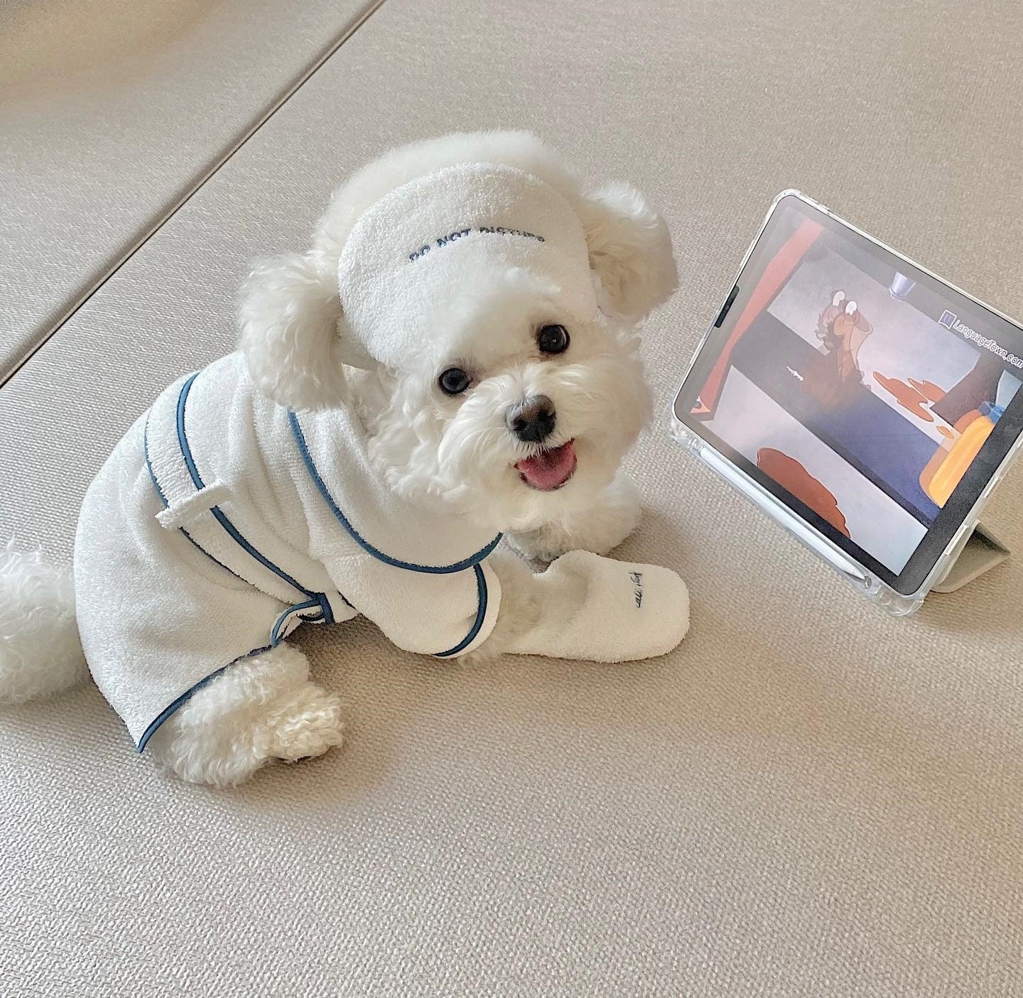 Paws Hotel Robe Set - Always Whiskered