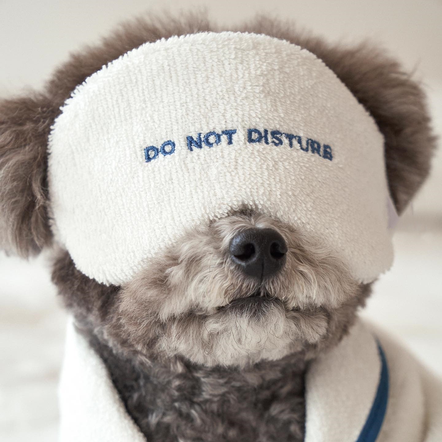 Paws Hotel Robe Set - Always Whiskered