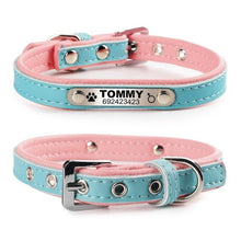 Personalized Pet Collar - Always Whiskered 