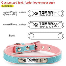 Personalized Pet Collar - Always Whiskered 