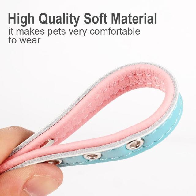 Personalized Pet Collar - Always Whiskered 