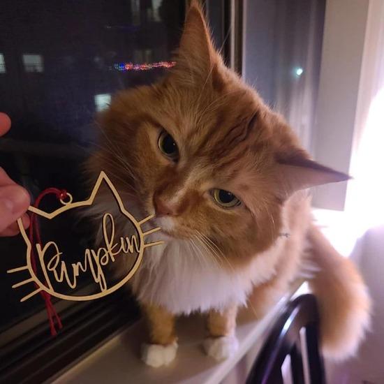 Personalized Pet Name Ornament - Always Whiskered