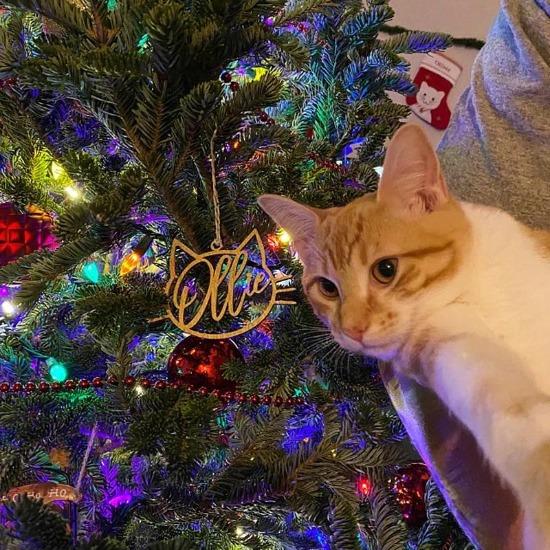 Personalized Pet Name Ornament - Always Whiskered