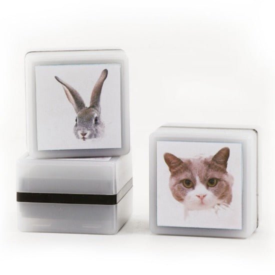 Personalized Pet Stamp - Always Whiskered