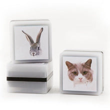 Personalized Pet Stamp - Always Whiskered
