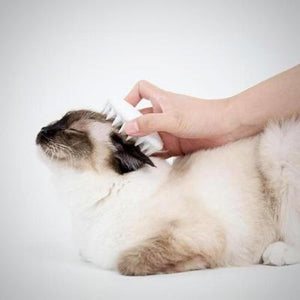 Petkit massage comb