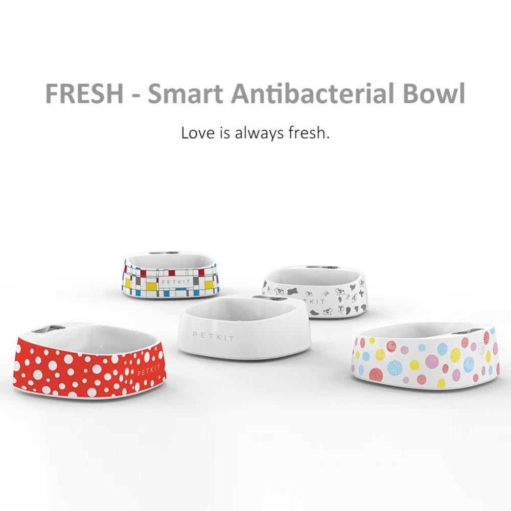 Smart Pet Bowl with Digital Weighing Scale - Always Whiskered 
