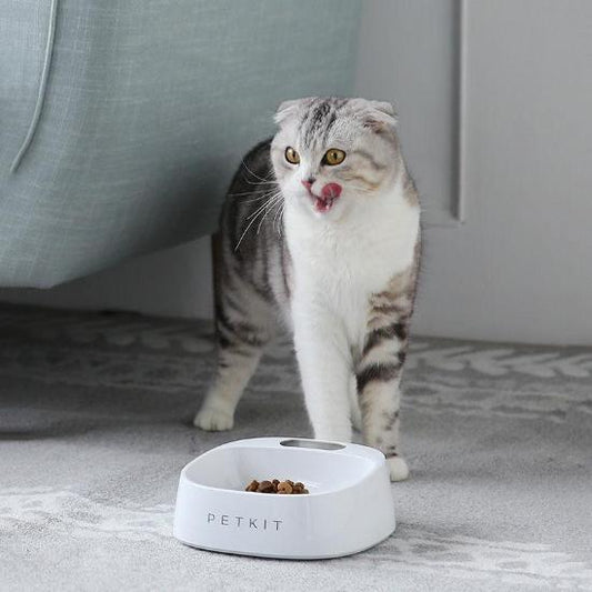 Petkit Smart Bowl - Always Whiskered 