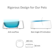 Smart Pet Bowl with Digital Weighing Scale - Always Whiskered 