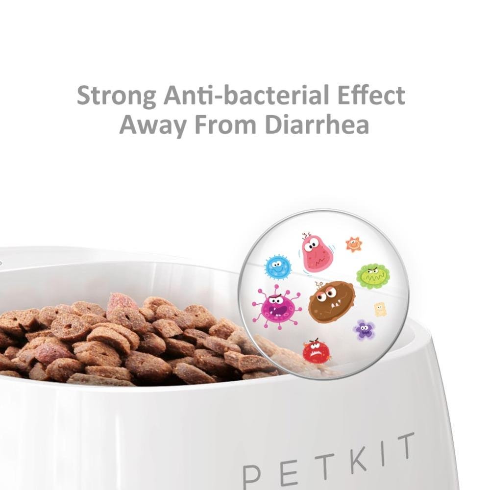 Smart Pet Bowl with Digital Weighing Scale - Always Whiskered 