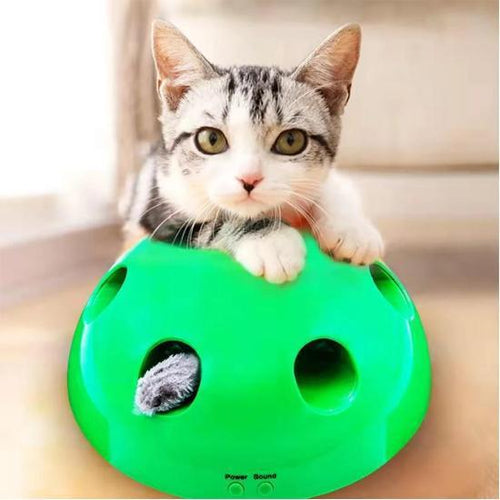 Pop N Play Cat Toy - Always Whiskered