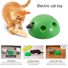 Pop N Play Cat Toy - Always Whiskered