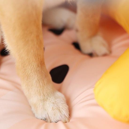 Summer pet bed - Always whiskered 