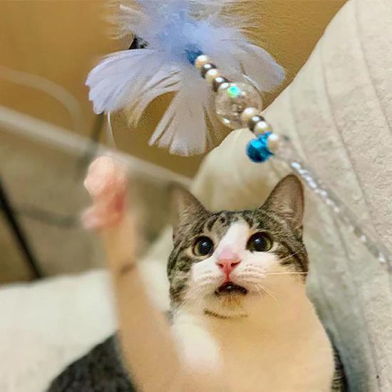 Crystal Rod Cat Wand- Always Whiskered 