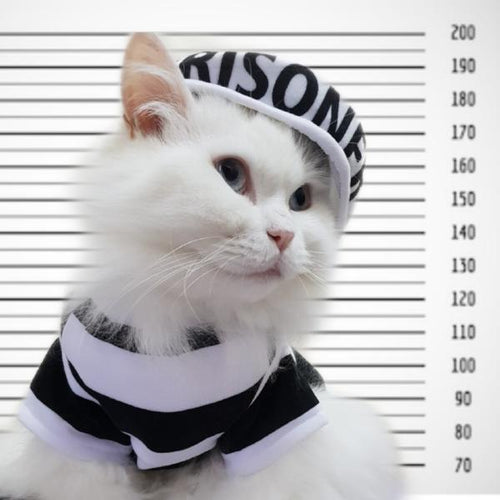 Prisoner Pet Costume - Always Whiskered