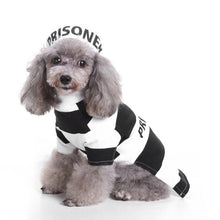 Prisoner Pet Costume - Always Whiskered 