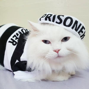 Prisoner Pet Costume - Always Whiskered