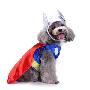Pet thor costumes - Always Whiskered
