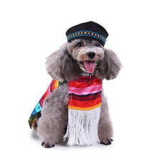Pet costumes - Always Whiskered
