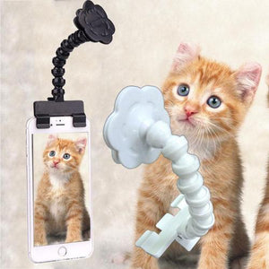 Pet Selfie Stick - Always Whiskered