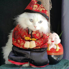 Prosperity Chinese Pet Costume - Always Whiskered