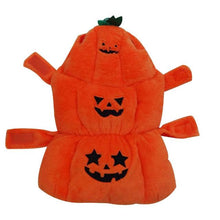 Pumpkin Pet Costume - Always Whiskered