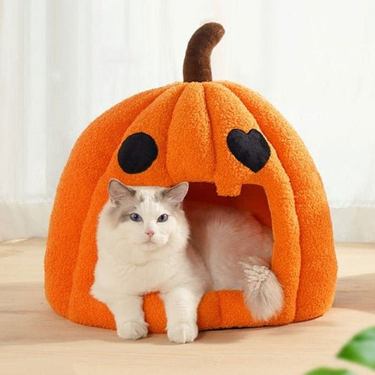 Pumpkin Spice Bed - Always Whiskered