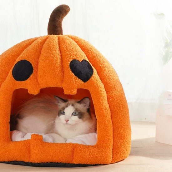 Pumpkin Spice Bed - Always Whiskered