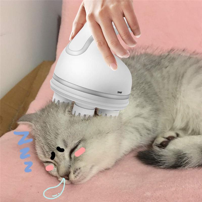 Cat Scalp Massager - Always Whiskered Always Whiskered Cat Scalp Massager - Always Whiskered Always Whiskered