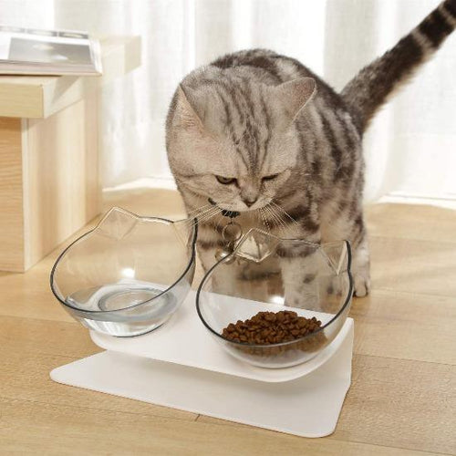 Cat head pet bowls