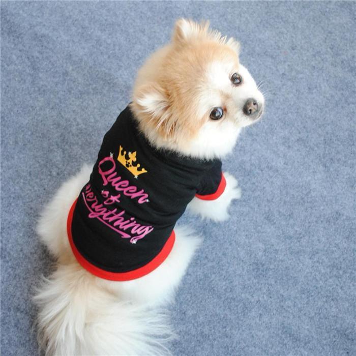 Queen Of Everything Pet Shirt - Always Whiskered
