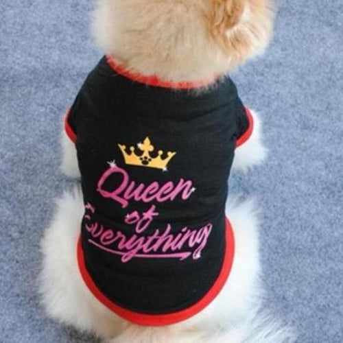 Queen Of Everything Pet Shirt - Always Whiskered