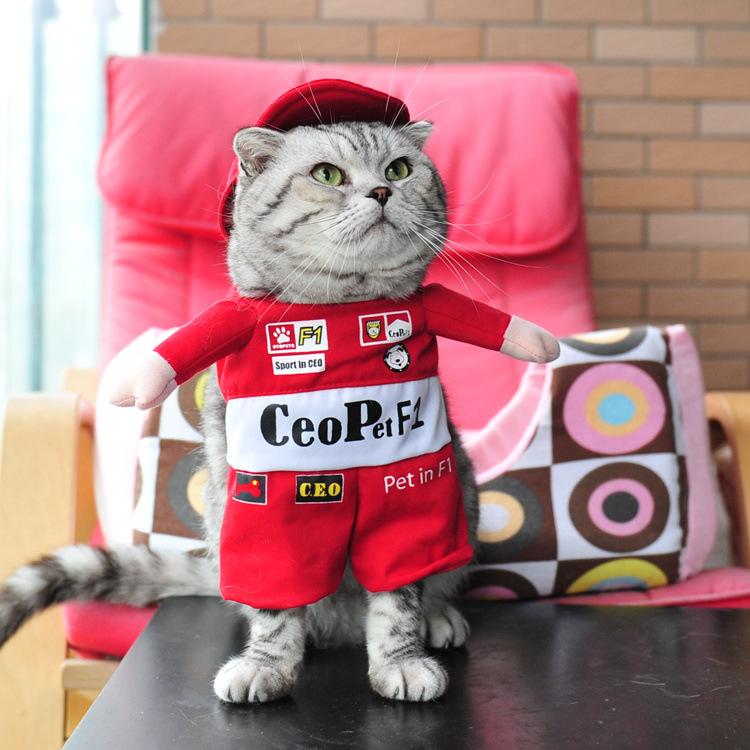 Pet F1 Racer Costume - Always Whiskered