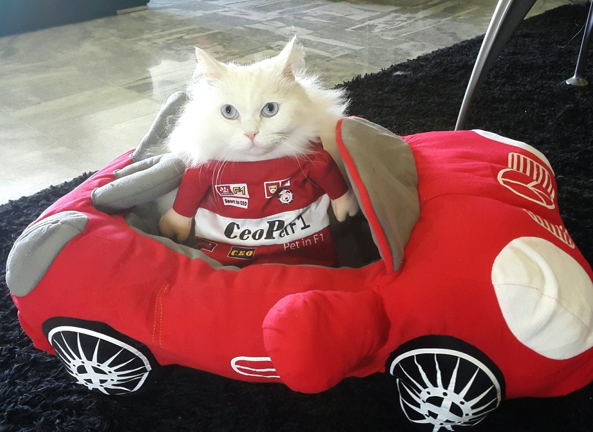 Pet F1 Racer Costume - Always Whiskered