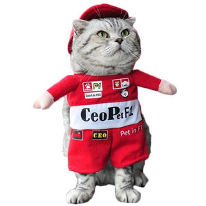 Pet F1 Racer Costume - Always Whiskered