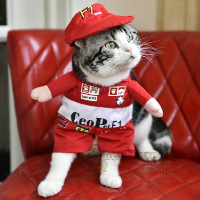 Pet F1 Racer Costume - Always Whiskered