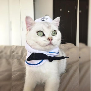 Sailor Pet Costume - Always Whiskered
