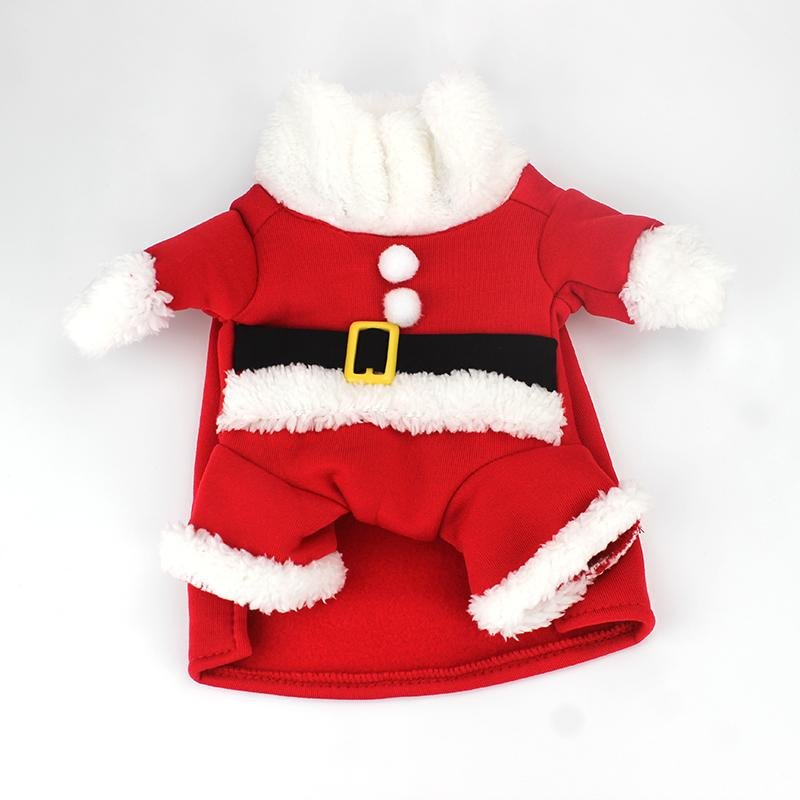 Santa Costume - Always Whiskered 