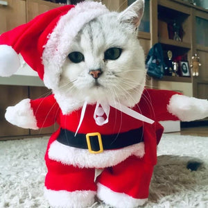 Santa Pet Costume - Always Whiskered