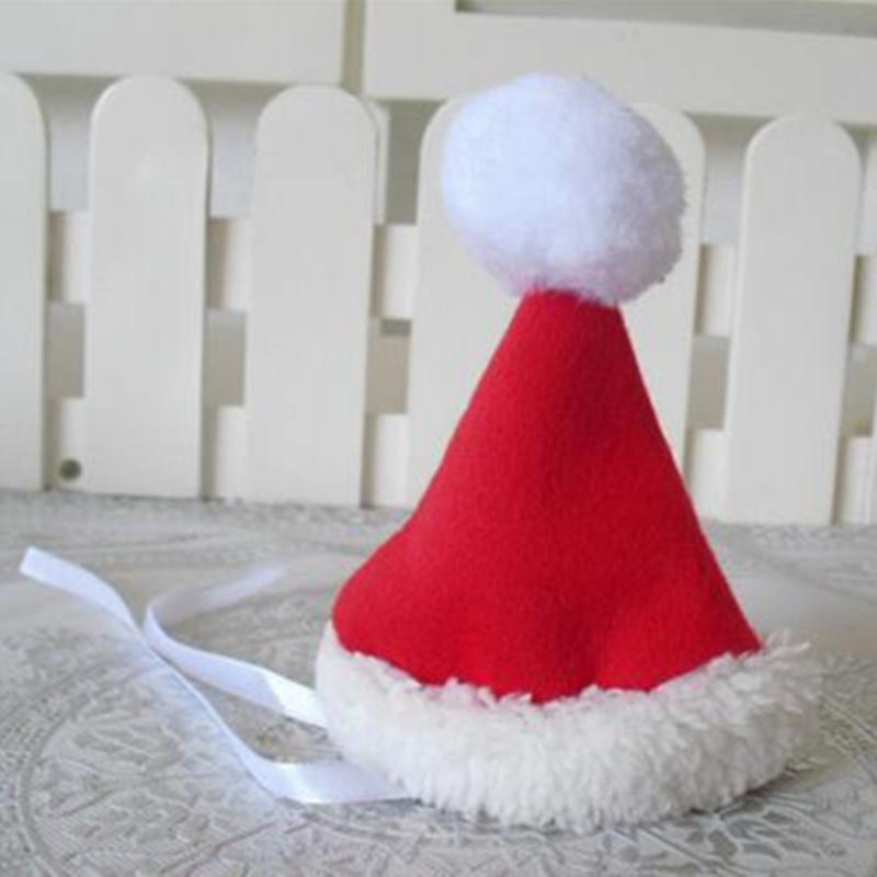 Santa Costume - Always Whiskered 