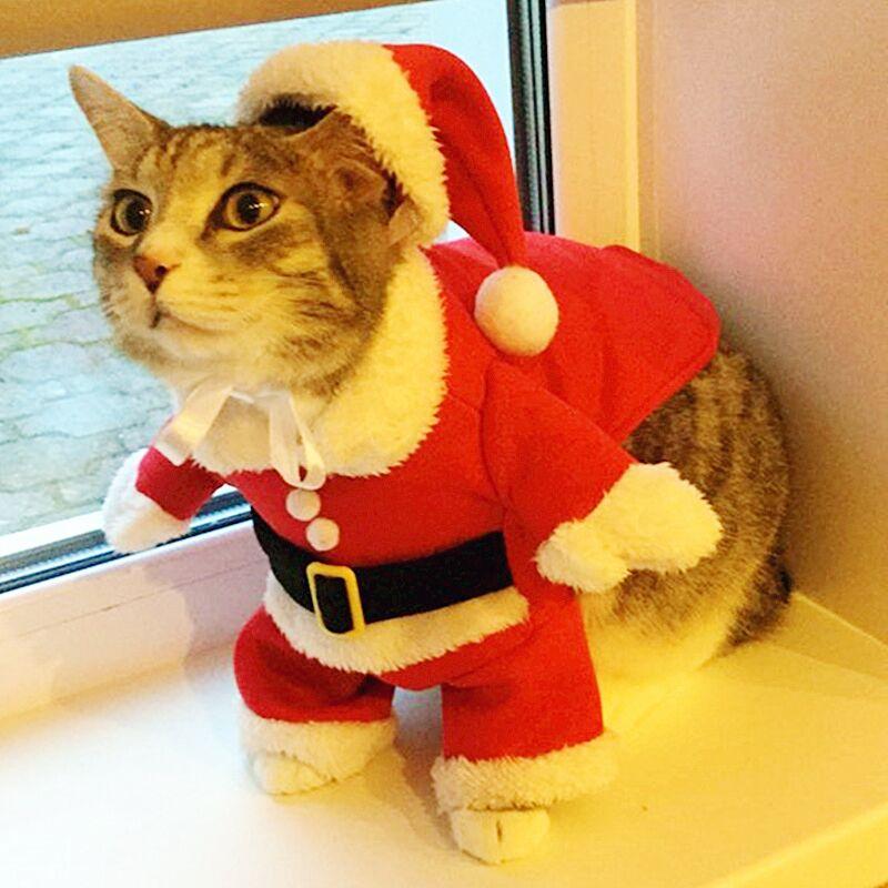 Santa Pet Costume - Always Whiskered