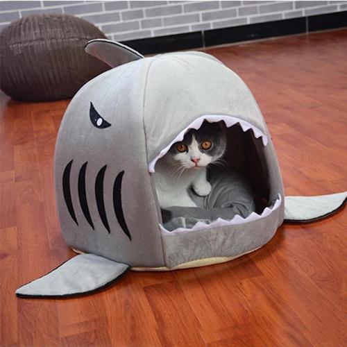 Shark Pet Bed - Always Whiskered