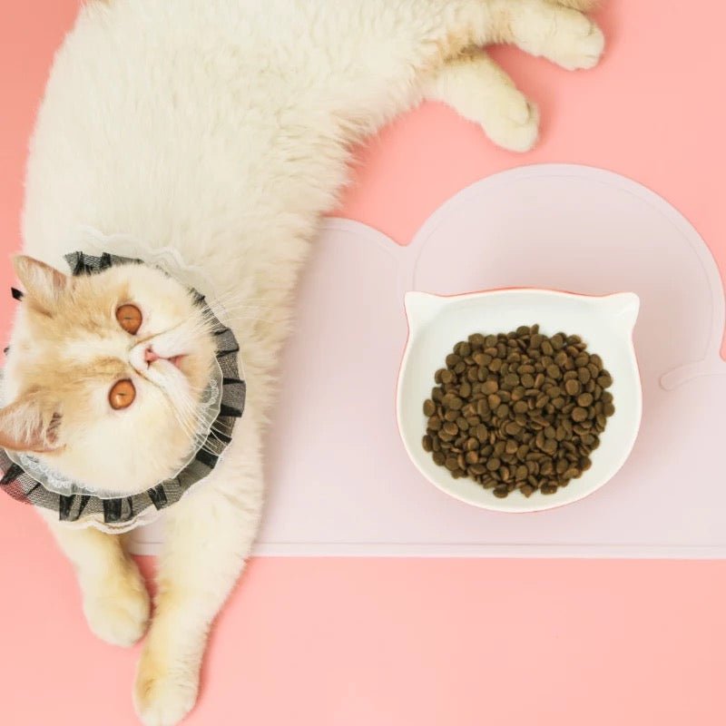 Silicone Pet Food Mat - Always Whiskered