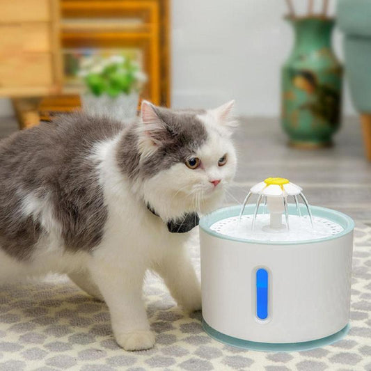 Cat Water fountain - Always Whiskered 