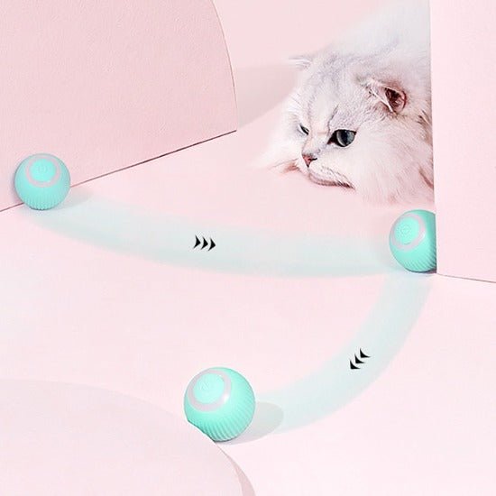 Smart Aleck Interactive Ball Toy - Always Whiskered