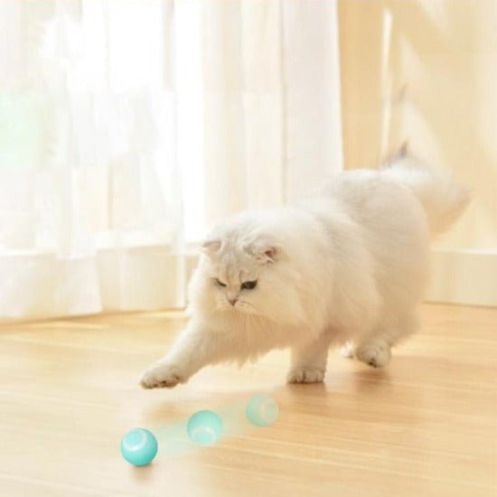Smart Aleck Interactive Ball Toy - Always Whiskered