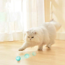 Smart Aleck Interactive Ball Toy - Always Whiskered