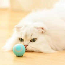 Smart Aleck Interactive Ball Toy - Always Whiskered