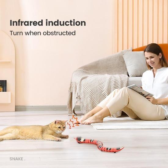 Sneaky Snake Smart Toy - Always Whiskered